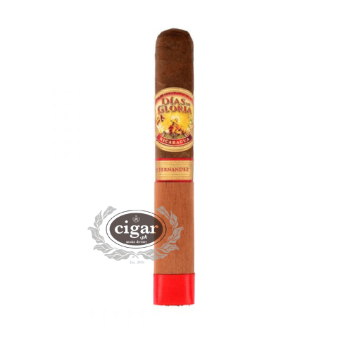 AJF Dias de Gloria Natural Toro  20 Cigars